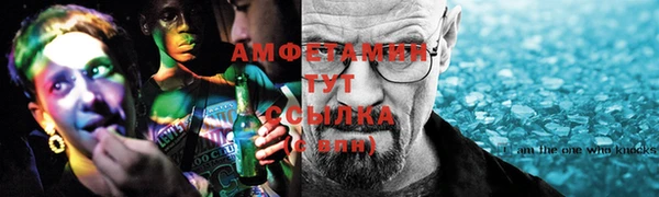 прущие грибы Абаза
