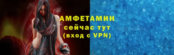 прущие грибы Абаза