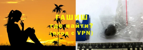 прущие грибы Абаза