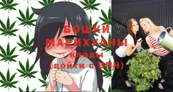 прущие грибы Абаза