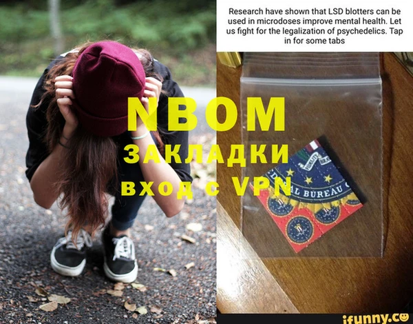 прущие грибы Абдулино