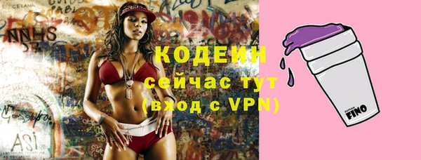 прущие грибы Абаза