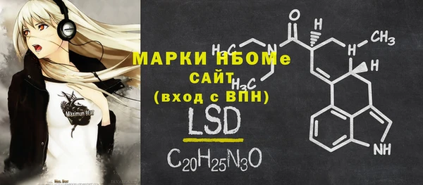 прущие грибы Абаза