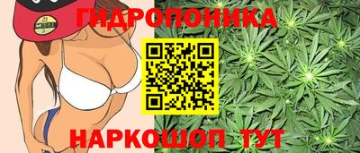 кокс Балахна