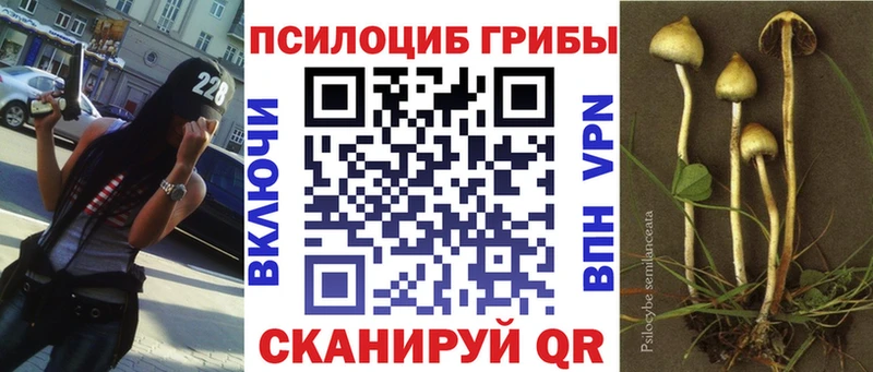 Псилоцибиновые грибы Magic Shrooms  магазин продажи   Богданович 
