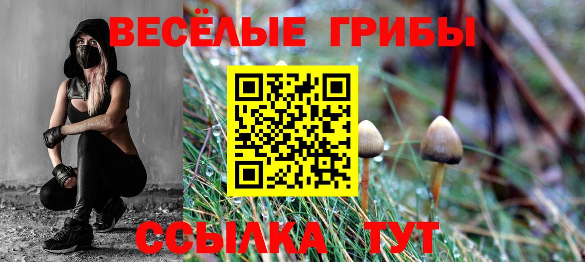 Псилоцибиновые грибы Magic Shrooms  Вход с VPN  Богданович  Галлюциногенные грибы мицелий 